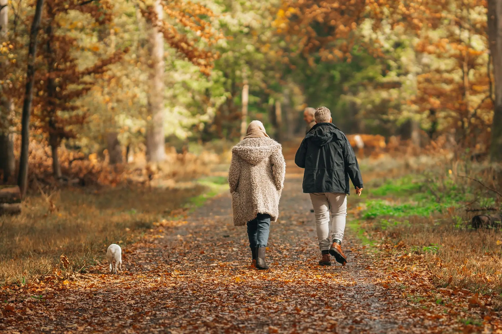 Retire at 60 with $260K
