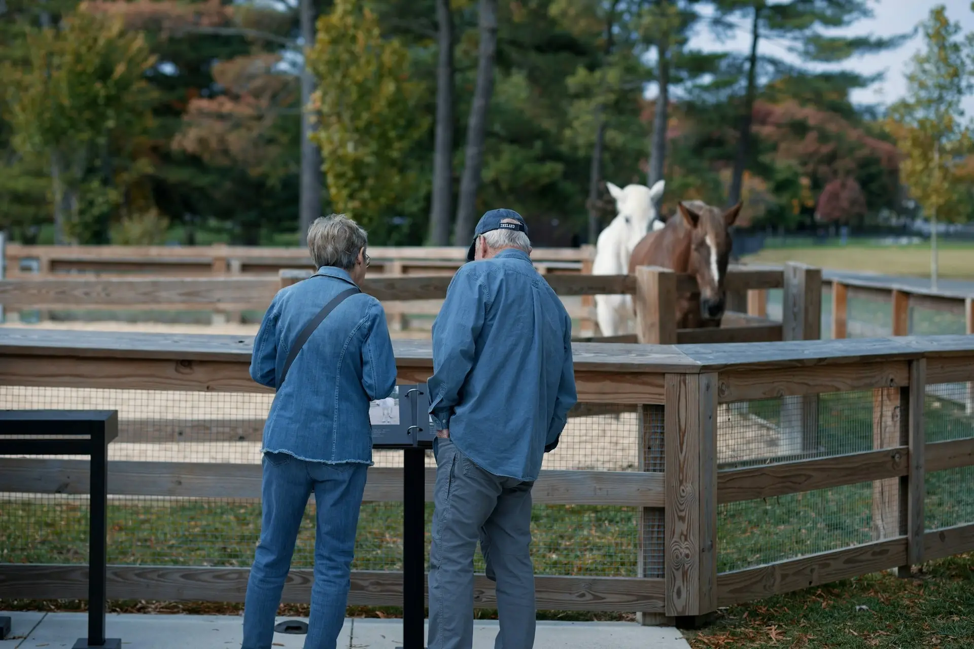 How Do I Set Up an Account-Based Pension